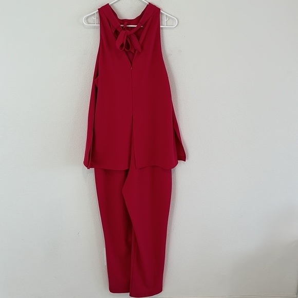 Adrianna Papell Pink Knit Crepe Jumpsuit - Picture 8 of 10